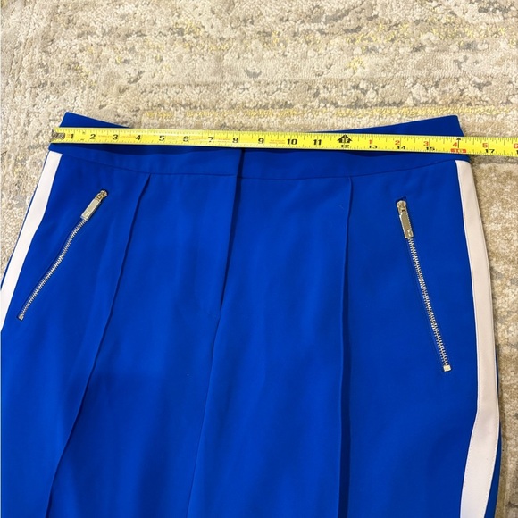 Ted Baker London Blue Stripe Pants - Picture 11 of 14